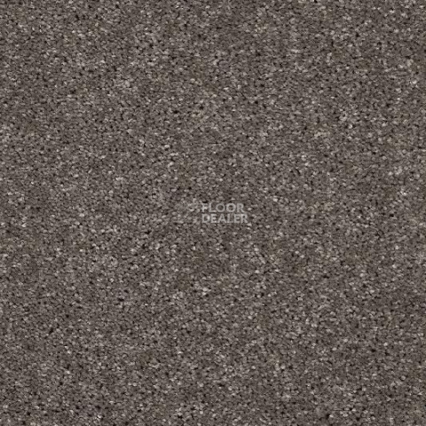 Ковролин AW Invictus Atticus Atticus 49 фото 1 | FLOORDEALER